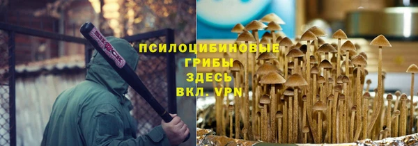 ECSTASY Алексин