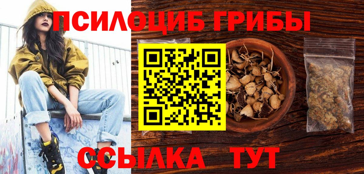 Псилоцибиновые грибы Psilocybe Дубна