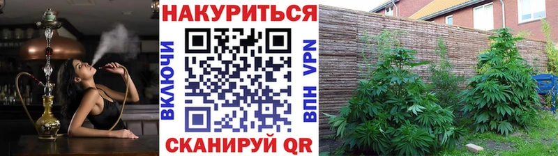 МАРИХУАНА Bruce Banner  Дубна 